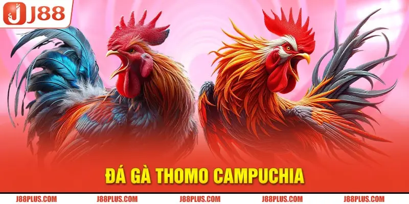 Đá gà Campuchia – Khoảnh khắc đỉnh cao của chiến thuật và giải trí đẳng cấp tại SV388 CASINO