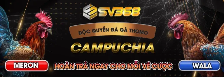 Đá gà Campuchia – Khoảnh khắc đỉnh cao của chiến thuật và giải trí đẳng cấp tại SV388 CASINO